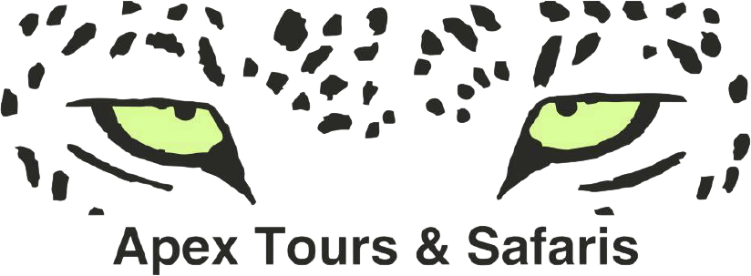 Apex Tours logo